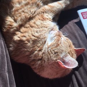 Meet your Posher, Hayden